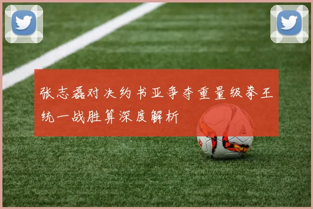 张志磊对决约书亚争夺重量级拳王统一战胜算深度解析