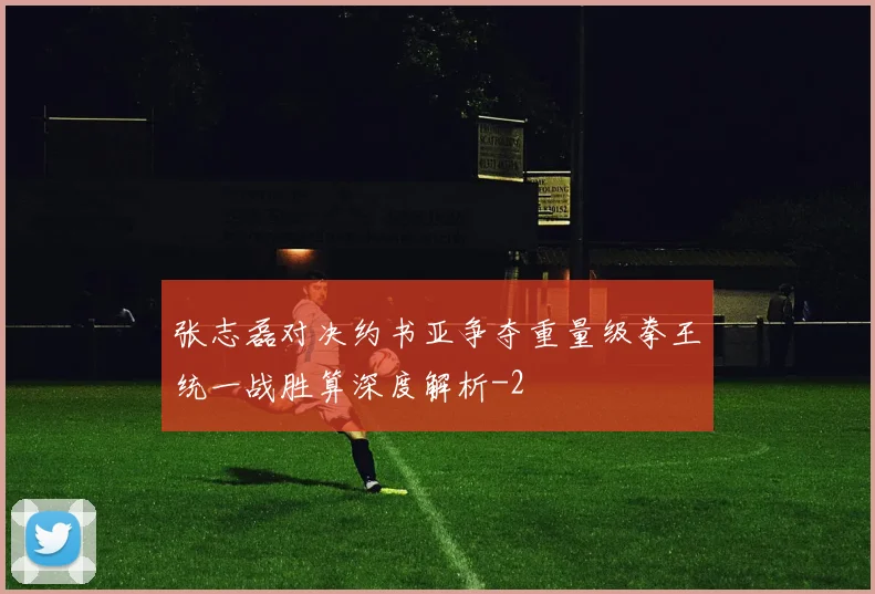 张志磊对决约书亚争夺重量级拳王统一战胜算深度解析